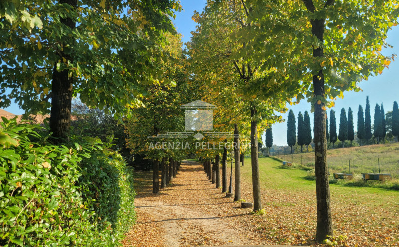 PROPONIAMO IN AFFITTO VILLA STORICA IN COLLINA all’interno di un prestigioso complesso rinascimen...