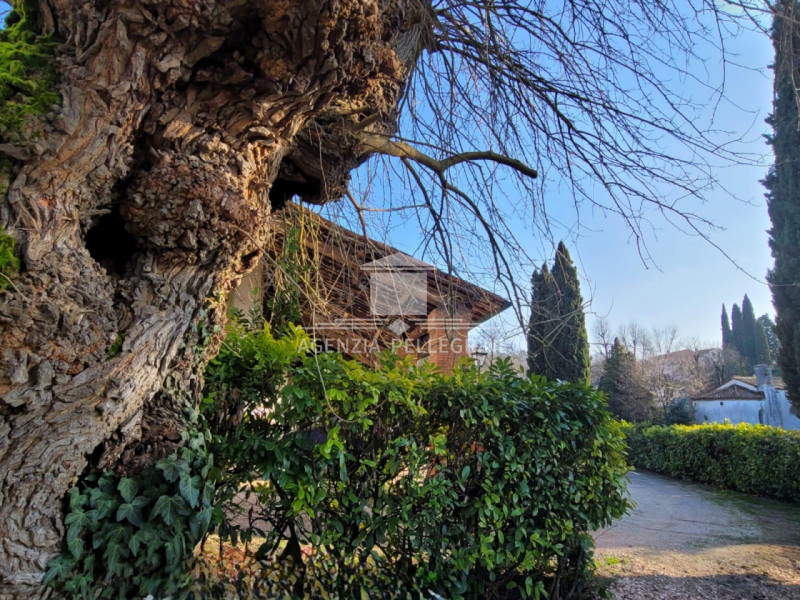 PROPONIAMO IN AFFITTO VILLA STORICA IN COLLINA all’interno di un prestigioso complesso rinascimen...