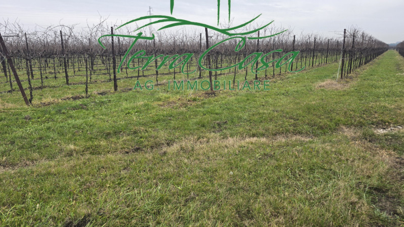 Scopri un'opportunità imperdibile nel cuore della rinomata zona vinicola di Cordignano! Proponiam...