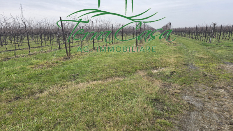 Scopri un'opportunità imperdibile nel cuore della rinomata zona vinicola di Cordignano! Proponiam...