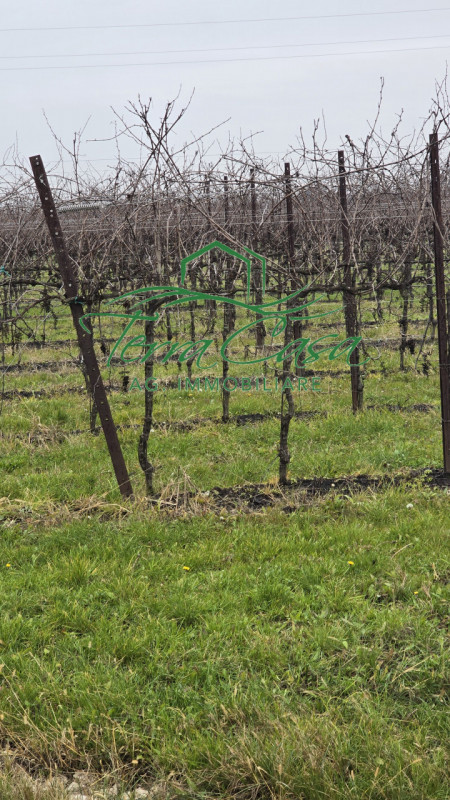 Scopri un'opportunità imperdibile nel cuore della rinomata zona vinicola di Cordignano! Proponiam...