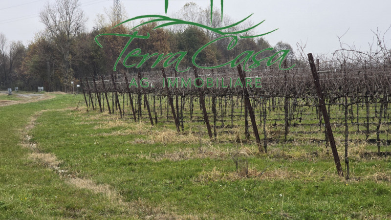 Scopri un'opportunità imperdibile nel cuore della rinomata zona vinicola di Cordignano! Proponiam...