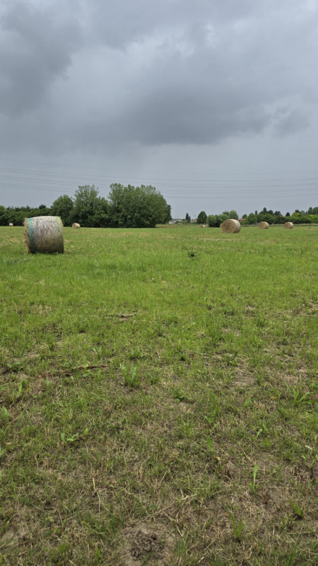 Scoprite un'opportunità unica di investimento nel cuore della zona agricola di Carbonera, precisa...