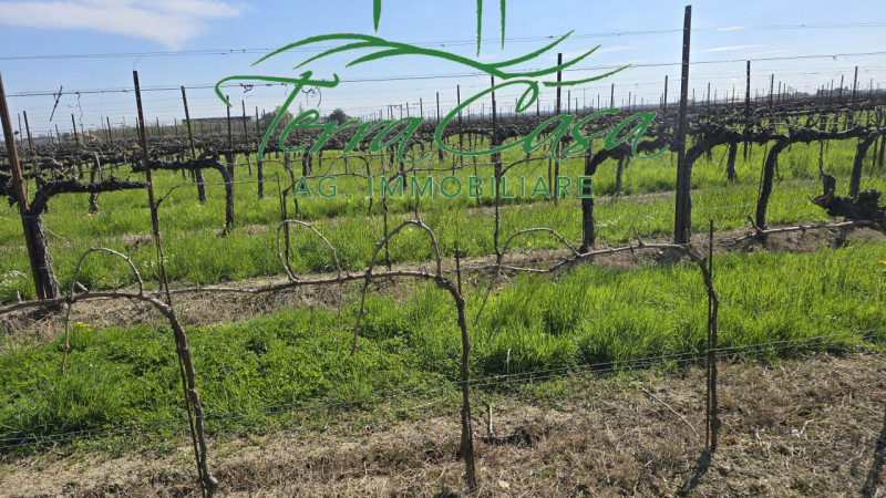 Scopri un'opportunità imperdibile nella campagna di San Donà di Piave! Ti proponiamo in vendita u...
