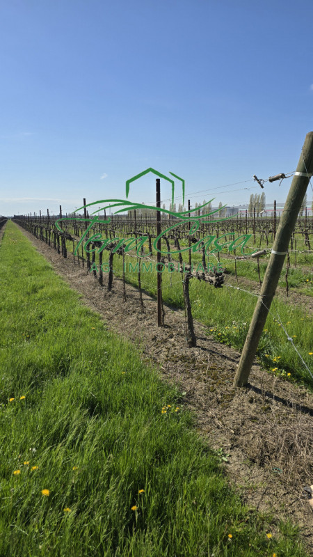 Scopri un'opportunità imperdibile nella campagna di San Donà di Piave! Ti proponiamo in vendita u...