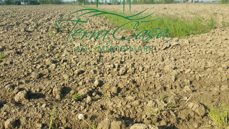 Scopri questa straordinaria opportunità di investimento nel cuore di Casier! 
Proponiamo in vendi...