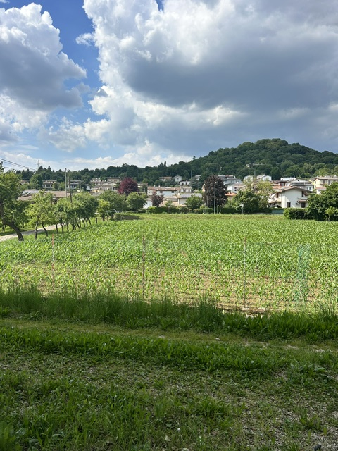 Zona Via Molini, in tranquillo contesto di sole 4 unità, porzione centrale di casa affiancata su ...