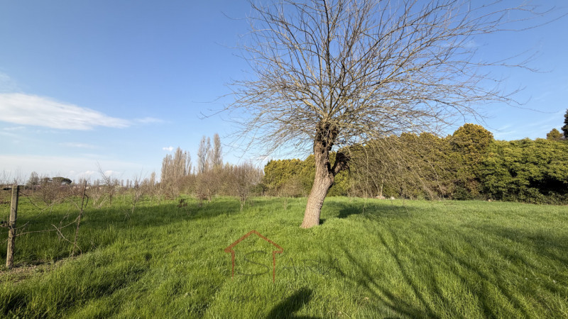 --- annuncio pubblicato con GESTIONALEIMMOBILIARE.it