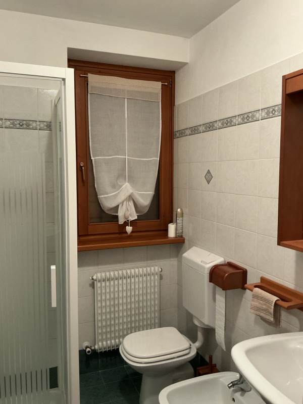 AURONZO DI CADORE IN OTTIMA POSIZIONE Proponiamo in vendita un grazioso appartamento, completamen...