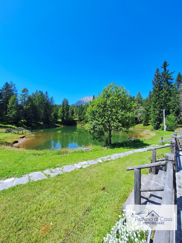 COMELICO SUPERIORE - Vi proponiamo in esclusiva uno splendido Chalet con vista mozzafiato.

Si tr...