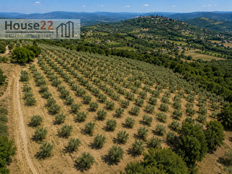 Scopri un'opportunità unica nel cuore della splendida Noto, patrimonio dell'umanità UNESCO e gioi...