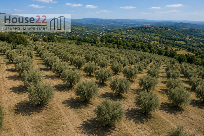Scopri un'opportunità unica nel cuore della splendida Noto, patrimonio dell'umanità UNESCO e gioi...