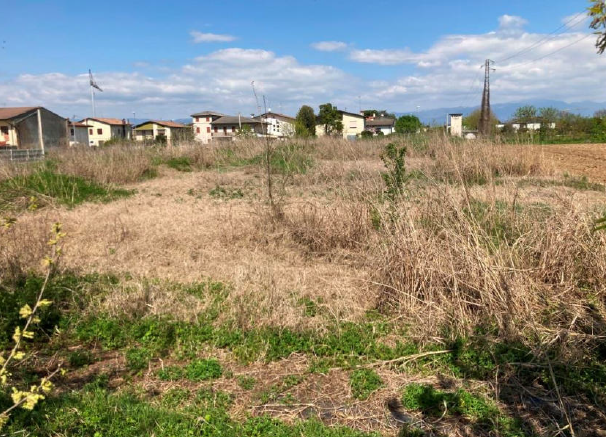 Rif. A.A.72-241

Vendita all'asta - n.3 terreni edificabili residenziali in data 06 luglio 2026

...