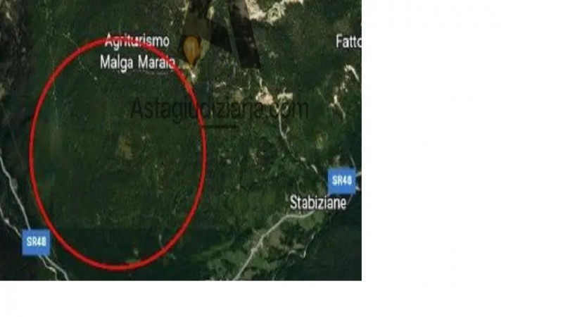 Rif. A.A.A.A. 71-25

Vendita all'asta - terreni boschivi in data 12 giugno 2026 

Descrizione: Tr...