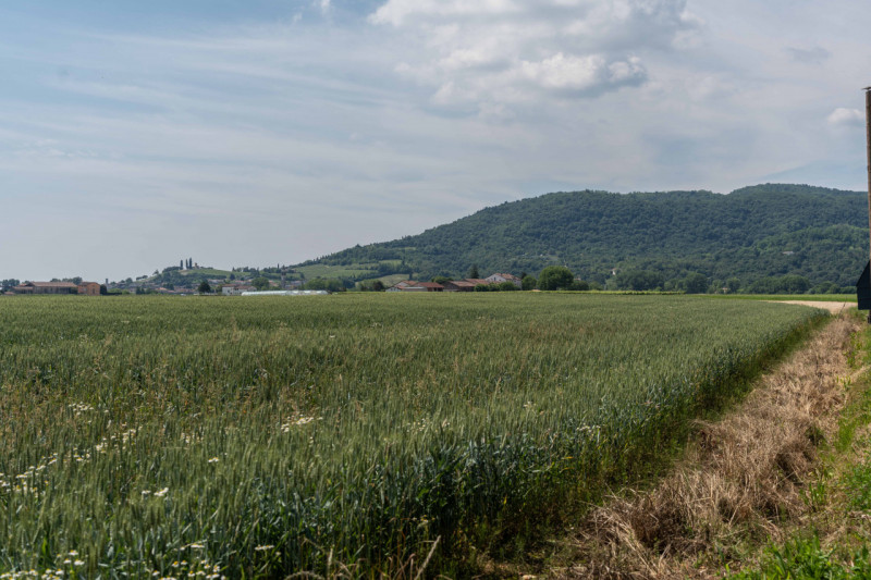 --- annuncio pubblicato con GESTIONALEIMMOBILIARE.it