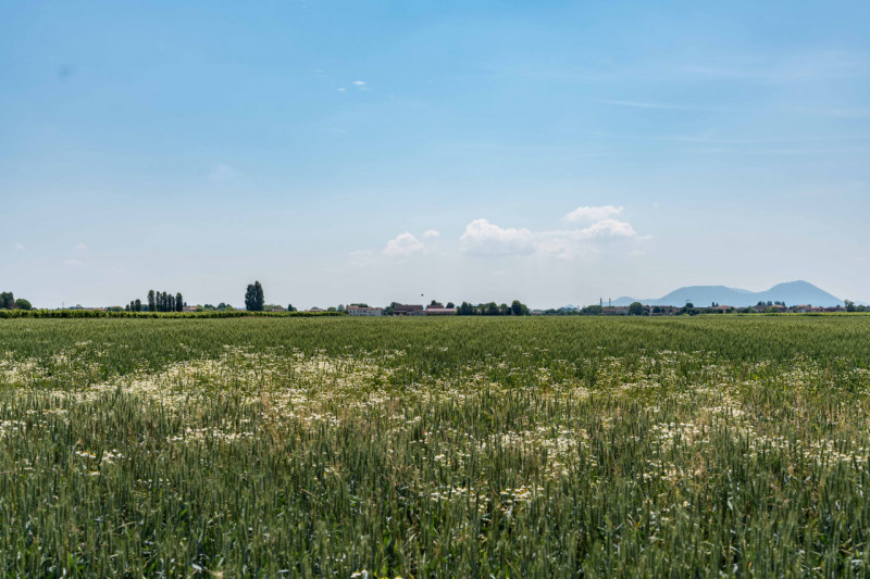 --- annuncio pubblicato con GESTIONALEIMMOBILIARE.it