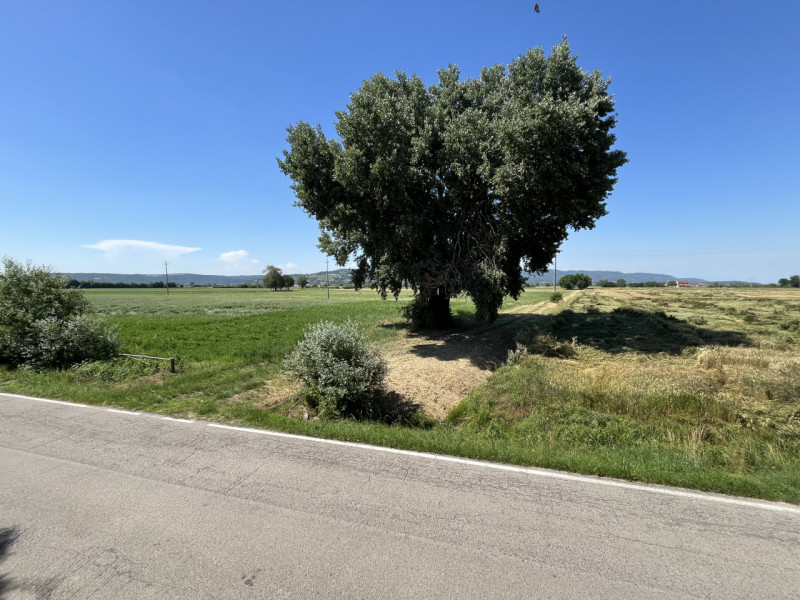 CAMPIGLIA DEI BERICI: Ampia casa padronale, sviluppata su tre livelli, situata nel cuore della ca...