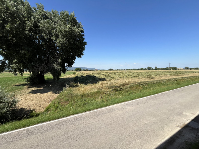 CAMPIGLIA DEI BERICI: Ampia casa padronale, sviluppata su tre livelli, situata nel cuore della ca...