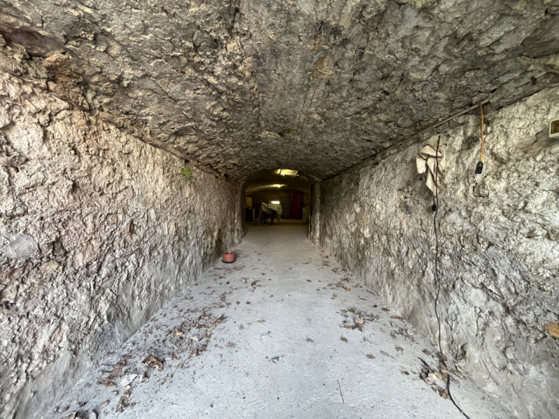 CAMPIGLIA DEI BERICI: Ampia casa padronale, sviluppata su tre livelli, situata nel cuore della ca...