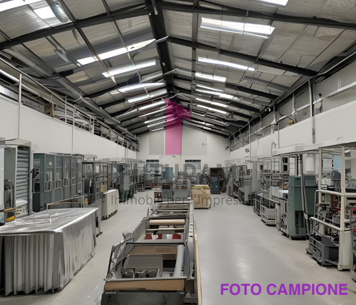 BRENDOLA - 57FIL - Per info 0444/310220 

 Si propone in AFFITTO CAPANNONE posto nel cuore della ...