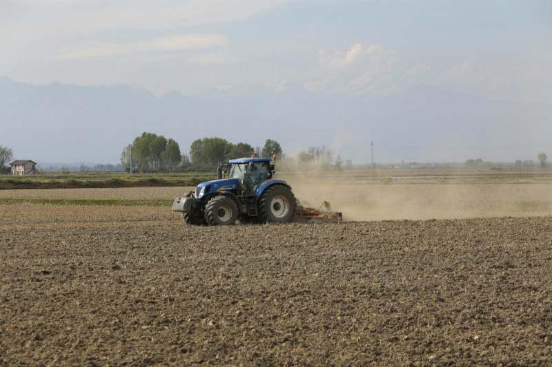 Proponiamo in vendita importante compendio agricolo composto da terreno, abitazione e strutture a...