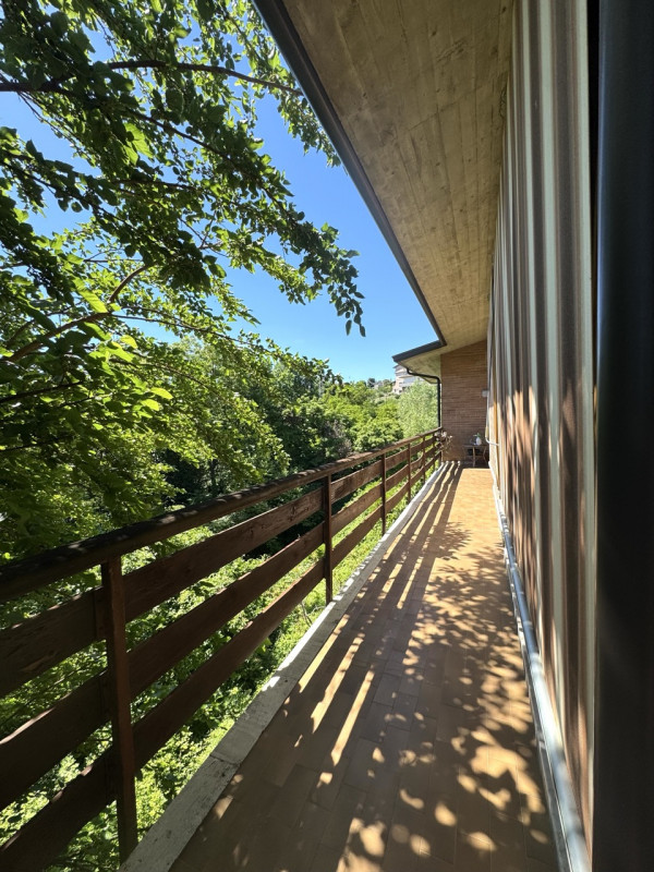 Villa singola con giardino e 7823 mq di bosco

Sogno Immobiliare Colceresa via Marconi 2 – 0424.1...