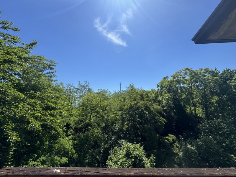 Villa singola con giardino e 7823 mq di bosco

Sogno Immobiliare Colceresa via Marconi 2 – 0424.1...