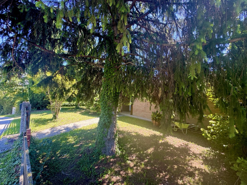 Villa singola con giardino e 7823 mq di bosco

Sogno Immobiliare Colceresa via Marconi 2 – 0424.1...