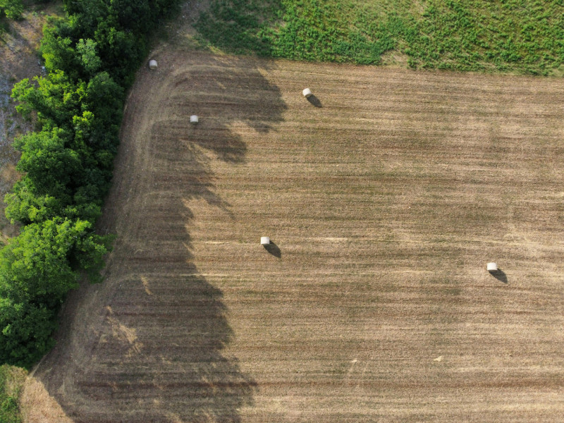 Proponiamo in vendita compendio agricolo composto da terreno e magazzini, soluzione ideale per im...