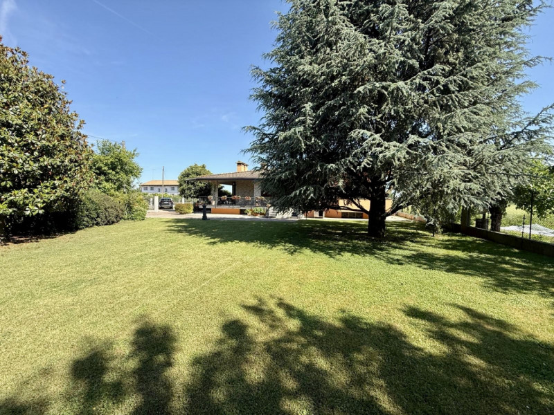 (Per INFO Roberto 3453195338) Musano di Trevignano, proponiamo in vendita Villa singola con ampio...