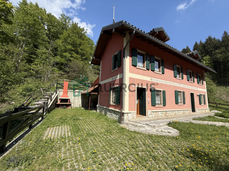 In bellissima zona residenziale, immersa nel verde, proponiamo in vendita meravigliosa villa sing...