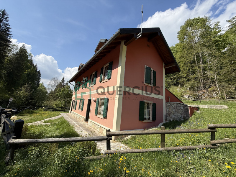 In bellissima zona residenziale, immersa nel verde, proponiamo in vendita meravigliosa villa sing...