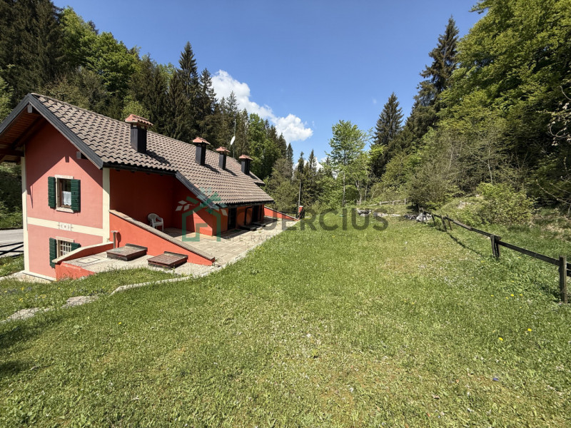 In bellissima zona residenziale, immersa nel verde, proponiamo in vendita meravigliosa villa sing...