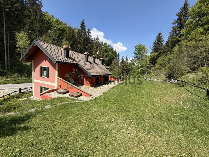 In bellissima zona residenziale, immersa nel verde, proponiamo in vendita meravigliosa villa sing...