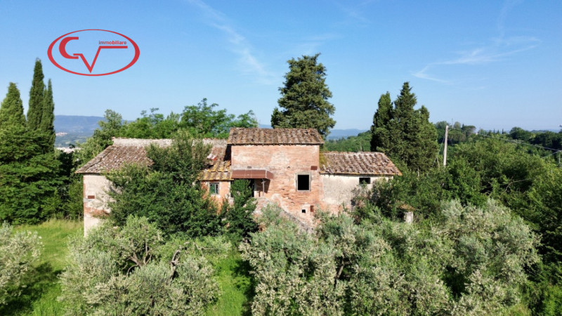 Immagine 3
