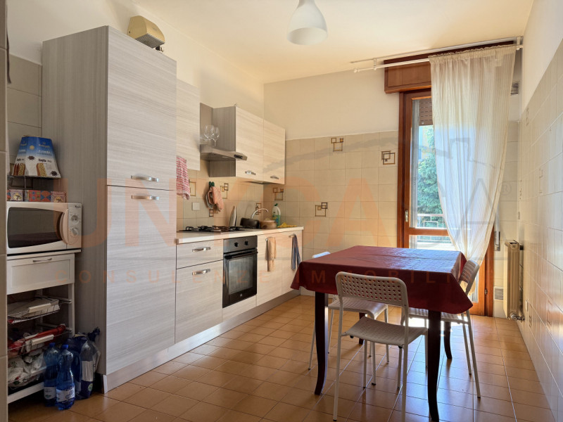 PADOVA - Zona Brusegana: disponibile dal 1° agosto, proponiamo ampia stanza ad uso singolo di cir...