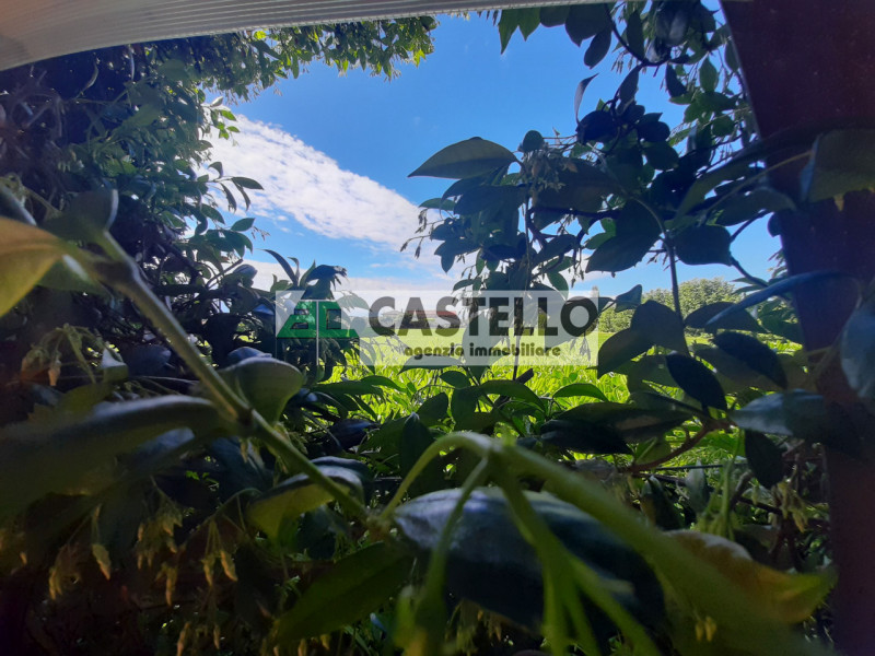 Campo San Martino, in zona estremamente tranquilla e con traffico ridotto, proponiamo un’intera b...