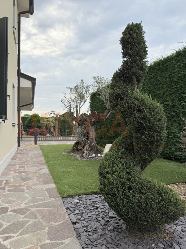VEGGIANO: Fraz. Trambacche, proponiamo in vendita in un tranquillo contesto residenziale, caratte...