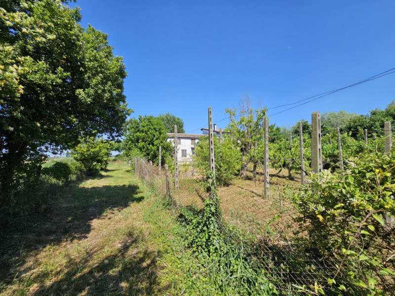 Ad Urbana, in una zona tranquilla ma comoda al centro, proponiamo in vendita un rustico (rudere) ...