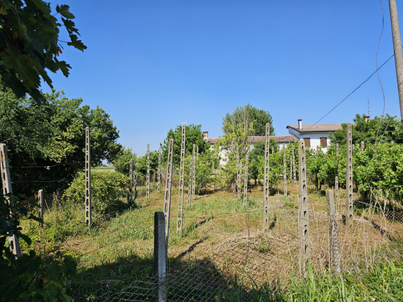 Ad Urbana, in una zona tranquilla ma comoda al centro, proponiamo in vendita un rustico (rudere) ...