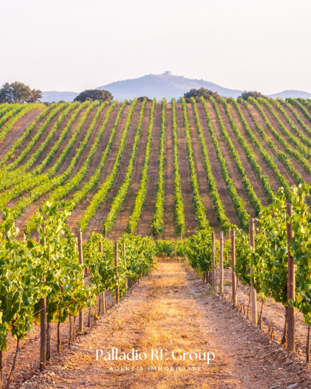Nel cuore della storica Valpolicella, in provincia di Verona, si offre in vendita un'imperdibile ...