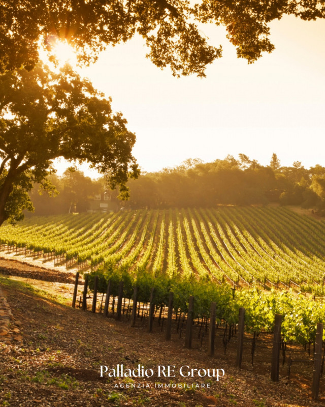Nel cuore della storica Valpolicella, in provincia di Verona, si offre in vendita un'imperdibile ...
