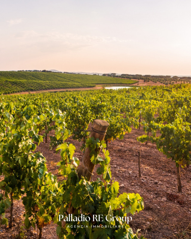 Nel cuore della storica Valpolicella, in provincia di Verona, si offre in vendita un'imperdibile ...