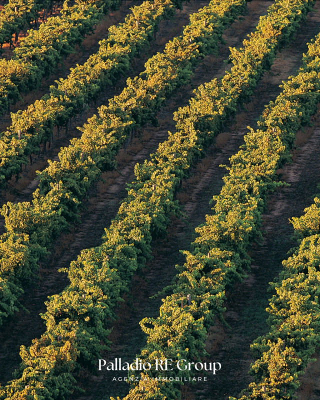 Nel cuore della storica Valpolicella, in provincia di Verona, si offre in vendita un'imperdibile ...