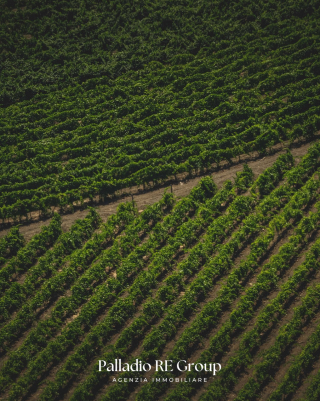 Nel cuore della storica Valpolicella, in provincia di Verona, si offre in vendita un'imperdibile ...