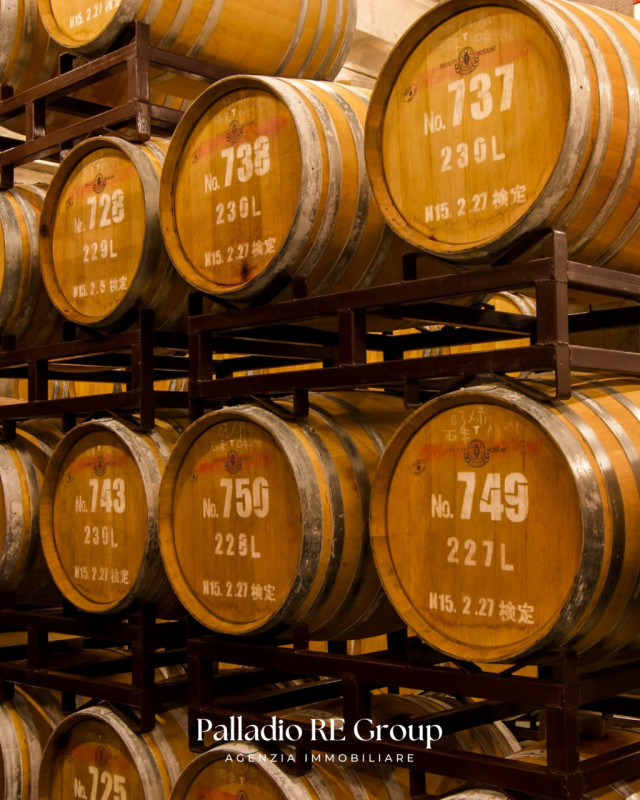 Nel cuore della storica Valpolicella, in provincia di Verona, si offre in vendita un'imperdibile ...
