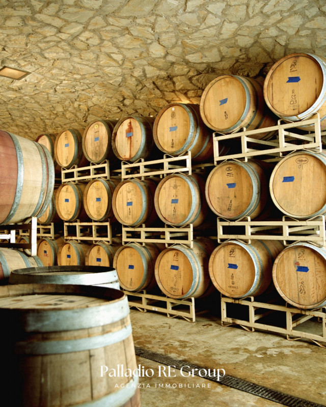 Nel cuore della storica Valpolicella, in provincia di Verona, si offre in vendita un'imperdibile ...
