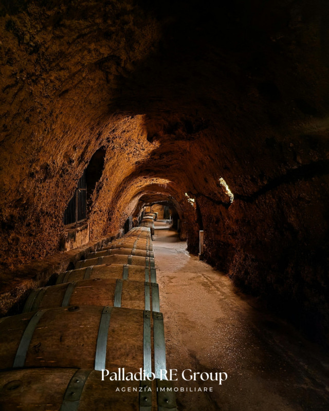 Nel cuore della storica Valpolicella, in provincia di Verona, si offre in vendita un'imperdibile ...