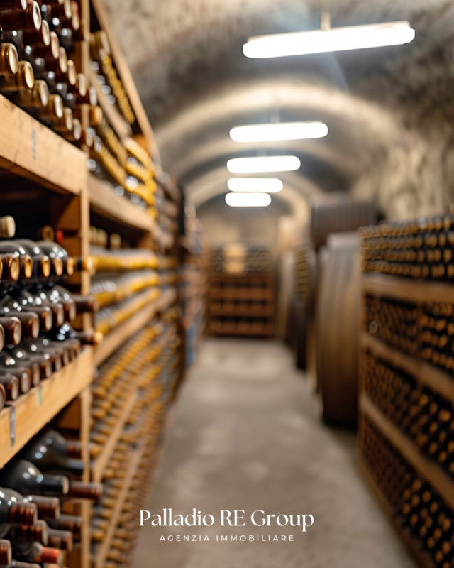 Nel cuore della storica Valpolicella, in provincia di Verona, si offre in vendita un'imperdibile ...