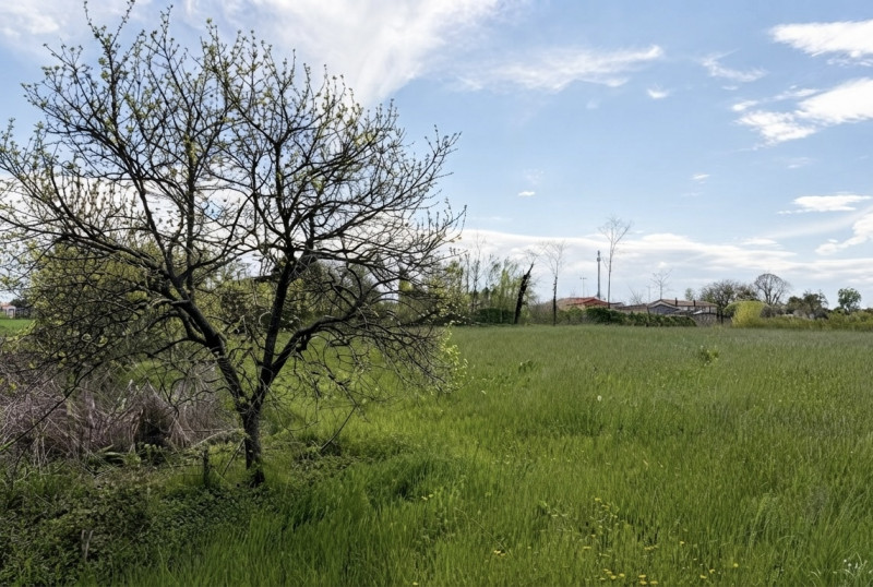 (Per INFO Vittorio 3517343301) Proponiamo a Piombino Dese terreno edificabile di circa 4.000 mq s...